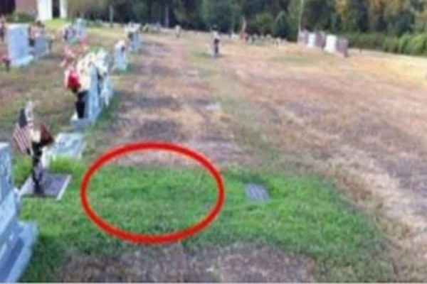 Δεν μπορούσε να καταλάβει γιατί ο τάφος του γιου της ήταν πράσινος! Όταν αποκαλύφτηκε η αλήθεια "πάγωσε"! - Περίεργα-Funny