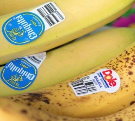 Έχετε παρατηρήσει τα αυτοκόλλητα πάνω στις μπανάνες; - Δείτε τι μπορεί να σας αποκαλύψουν - Funny-Περίεργα